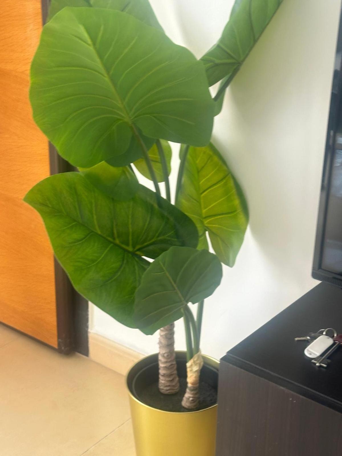 アルアマ・デ・ムルシアCasa Luisa Jardin 10 Condado De Alhamaアパートメント エクステリア 写真
