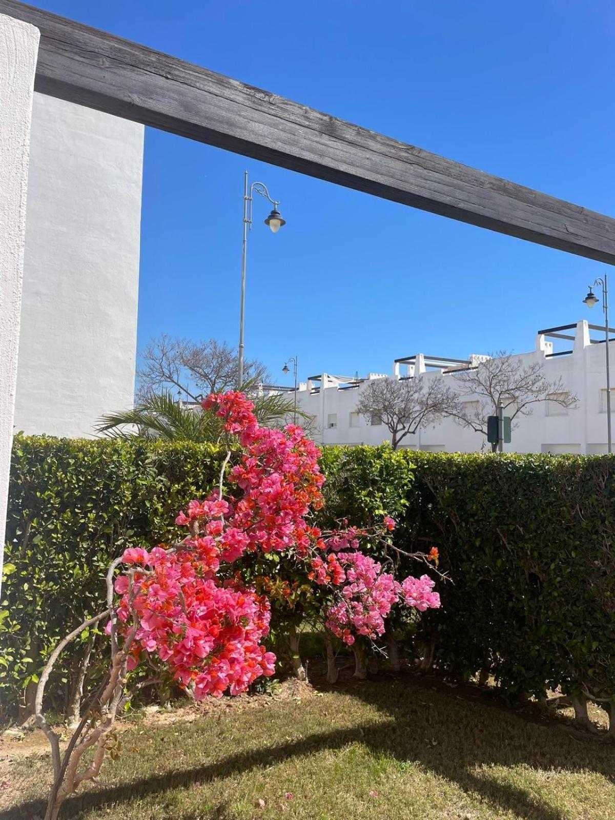 アルアマ・デ・ムルシアCasa Luisa Jardin 10 Condado De Alhamaアパートメント エクステリア 写真